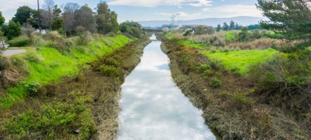 stream bed in need of erosion control