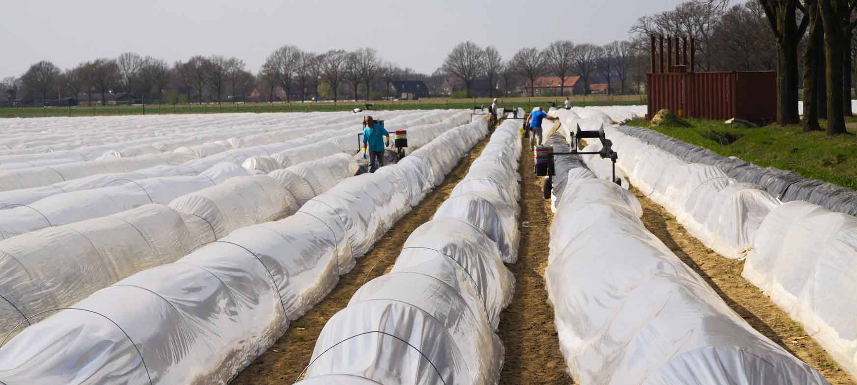 Protection Fabrics in Agriculture and Horticulture Belton Industries