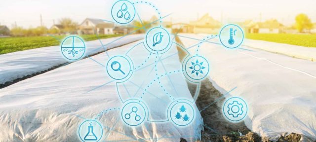 farmed area of land with agricultural textiles being used as a sustainable solution