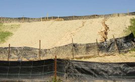 silt fences