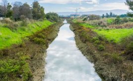 stream bed in need of erosion control