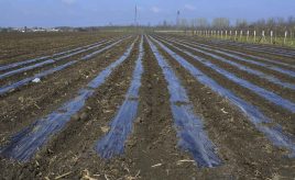 plastic affected by thermal degradation