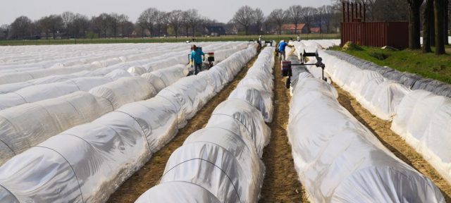 custom fabric solutions for agriculture and horticulture use
