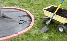 ground cover used to block weeds