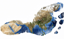 footprint with an environmental theme