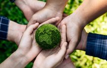several hands holding a small green earth in the palms of their hands